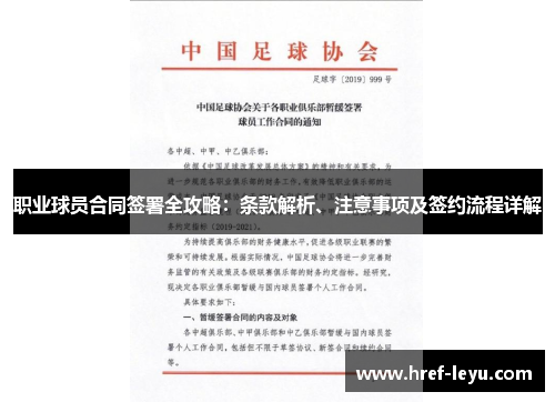 职业球员合同签署全攻略：条款解析、注意事项及签约流程详解