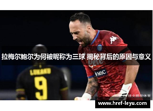 拉梅尔鲍尔为何被昵称为三球 揭秘背后的原因与意义 拉梅尔鲍尔为何被昵称为三球 揭秘背后的原因与意义