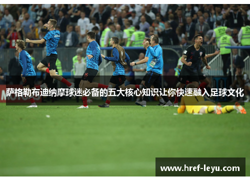 萨格勒布迪纳摩球迷必备的五大核心知识让你快速融入足球文化