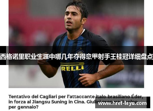 西格诺里职业生涯中哪几年夺得意甲射手王桂冠详细盘点