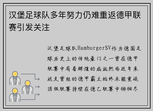 汉堡足球队多年努力仍难重返德甲联赛引发关注 汉堡足球队多年努力仍难重返德甲联赛引发关注